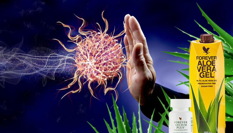 Aloe Vera Prevencija Karcinoma